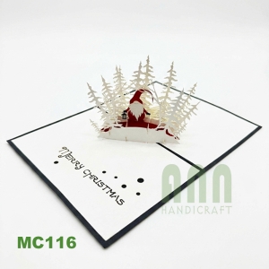 MC116 - Christmas Dwarf